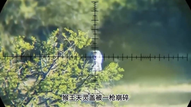 四川峨眉山“人猴大战游客坠崖”谣言追踪