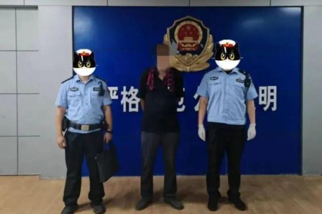 為吃鐵鍋燉大鵝 男子偷鵝被拘 滿足口腹之欲