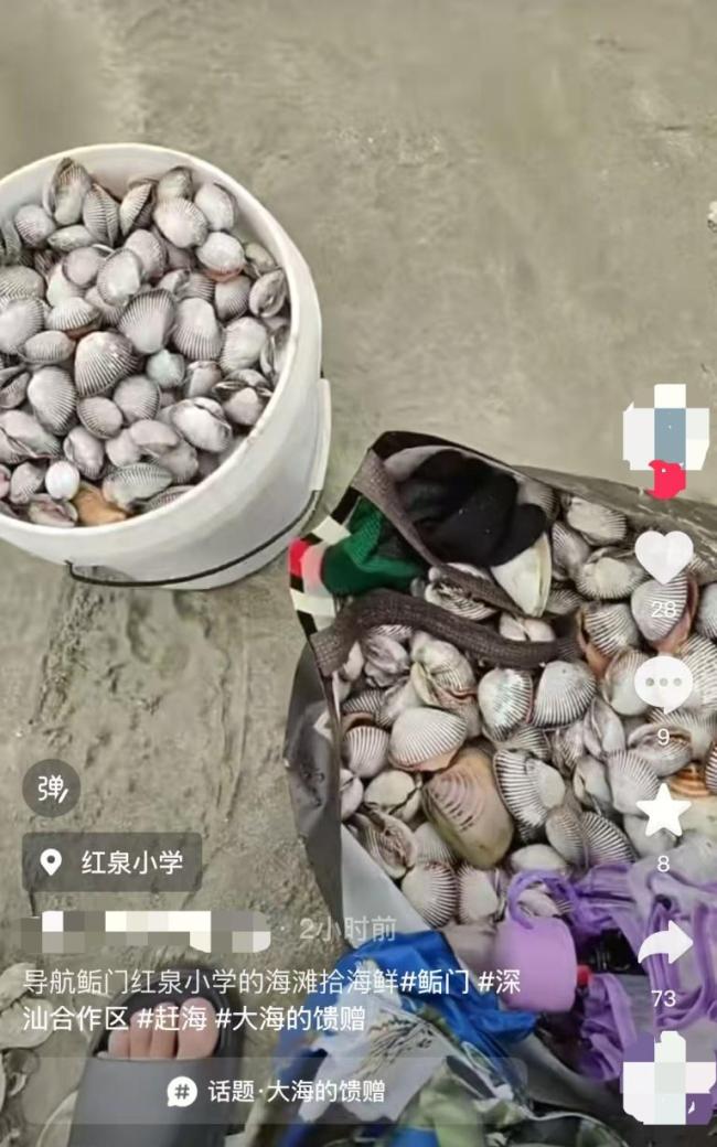 “捡不完根本捡不完”！台风过后遍地生蚝专家提醒