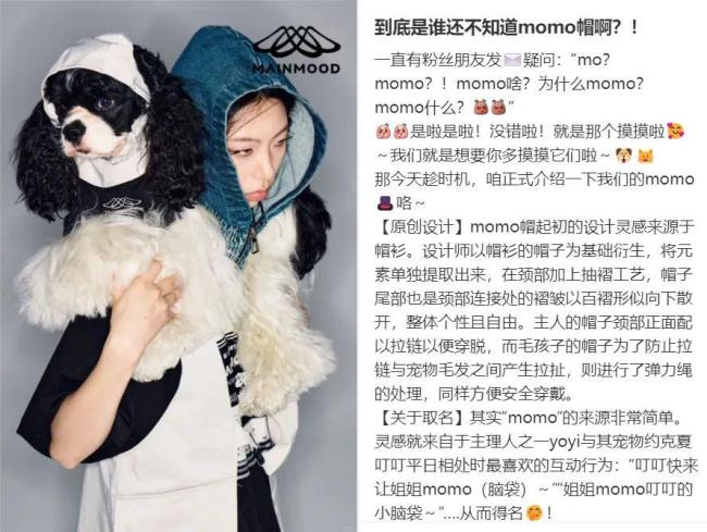 3000元一件 寵物服飾變金礦 市場潛力巨大