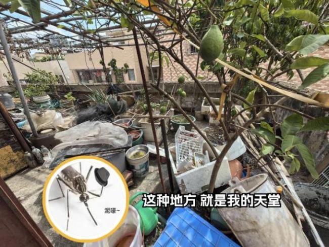 基孔肯雅熱疫情易造成跨省傳播 佛山積極應(yīng)對