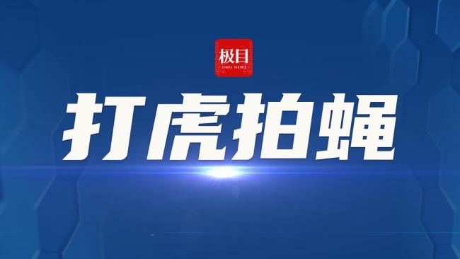 山东农担公司原董事长张安民被双开