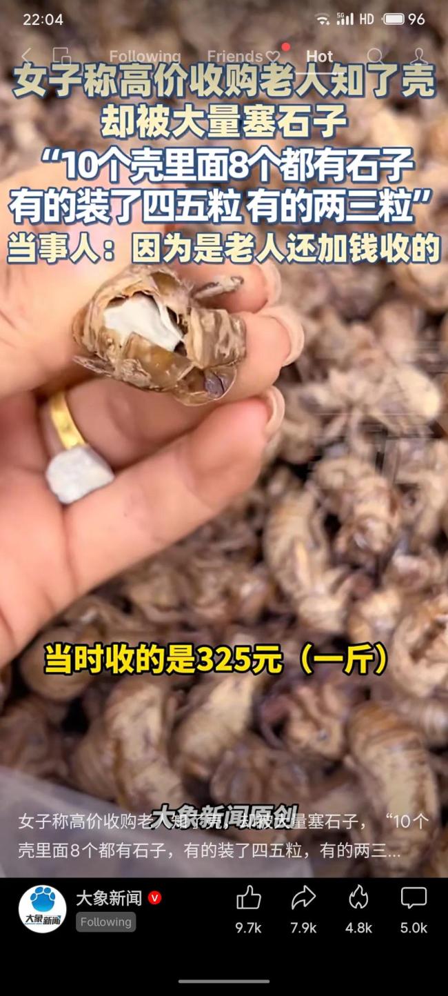 女子收购知了壳却被塞石子 诚信考验引发热议