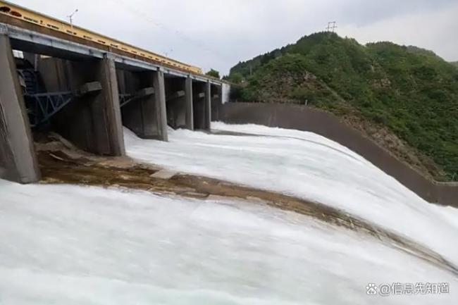 密云水库泄流大量鱼被冲出 鱼群漂流奇观引发热议