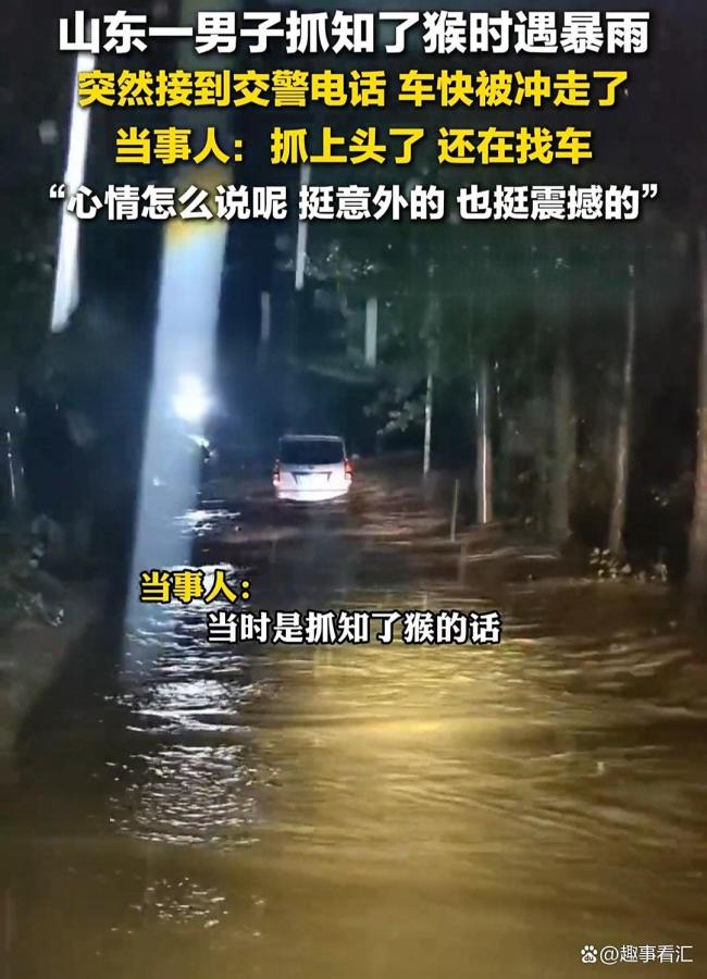 知了猴快被山东人薅没了 抓知了猴有趣还能起到减肥效果