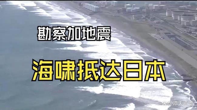 1.5米高海嘯襲擊日本：海水巨幅漲落 鯨魚擱淺民眾避險(xiǎn)