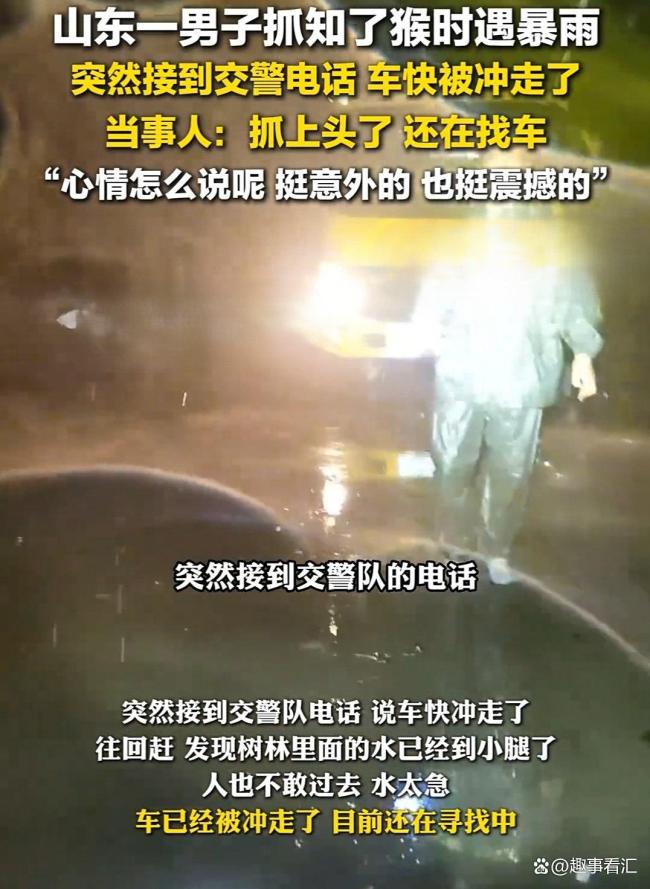 知了猴快被山东人薅没了 抓知了猴有趣还能起到减肥效果