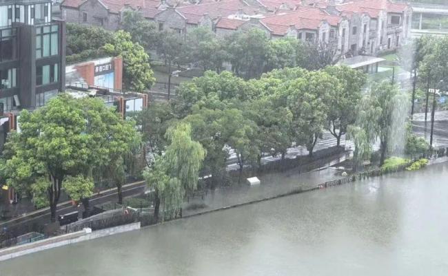 苏州河水位已回落 台风影响减弱
