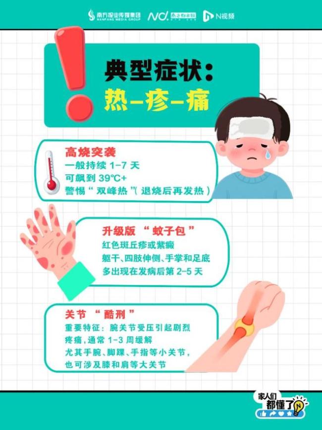 感染一次基孔肯雅热可终身免疫？回应来了 专家解答症状与防治