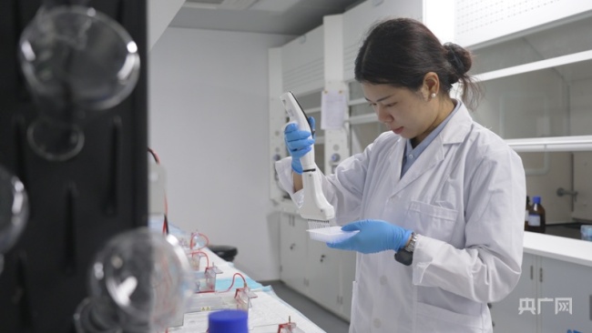 【牢記囑托·看見美好中國】培育良種“中國芯” 端牢中國飯碗