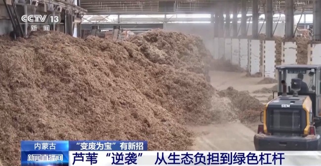 废旧塑料餐盒变身3D打印椅 “变废为宝”又有新招