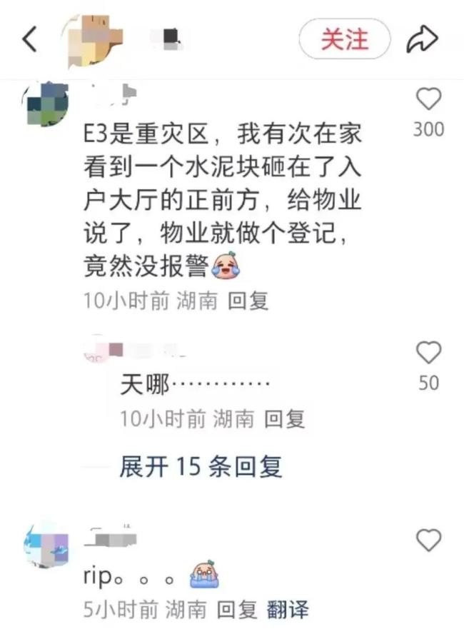 这个女孩被堕落的物体杀死。最初的计划参加了