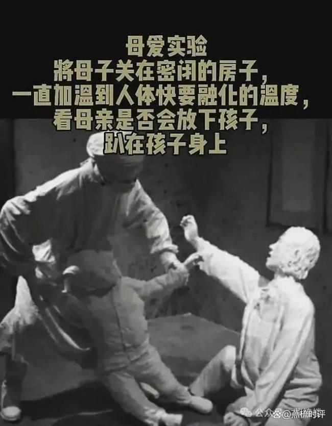 《731》定档背后 究竟是谁害怕了 历史真相不容篡改