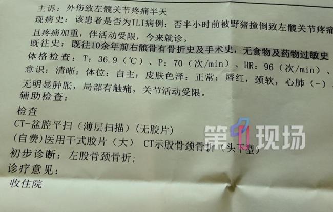 公园回应野猪狂奔撞伤游客 加强巡逻保障安全