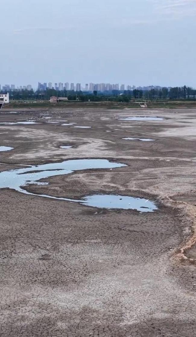 7月降水仅6毫米的河南驻马店下雨了 干旱土地迎来甘霖