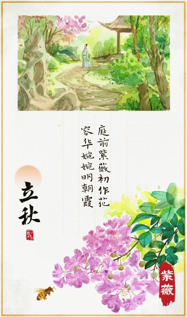 立秋时节读懂草木的“节气时钟” 跟着诗人寻花识秋