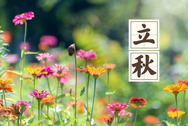 今日13点51立秋,今年立秋有4个特点 晚秋热依旧