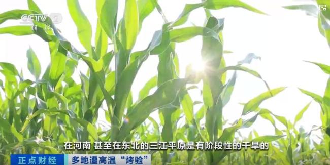 立秋后全国天气趋势如何？立秋后仍有大范围高温天气