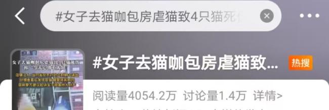 女子猫咖包房虐猫致4死2伤 引发广泛关注