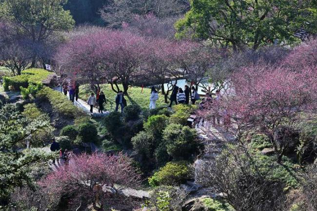 时政微观察丨关乎人民幸福 关乎民族未来