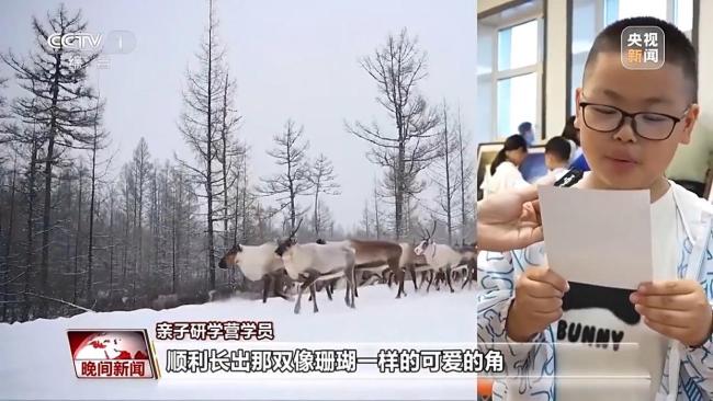 停伐十年 看“綠色寶庫(kù)”大興安嶺的轉(zhuǎn)型路→