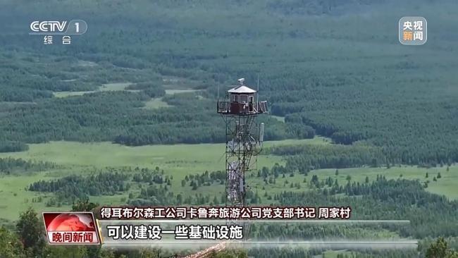 停伐十年 看“綠色寶庫(kù)”大興安嶺的轉(zhuǎn)型路→