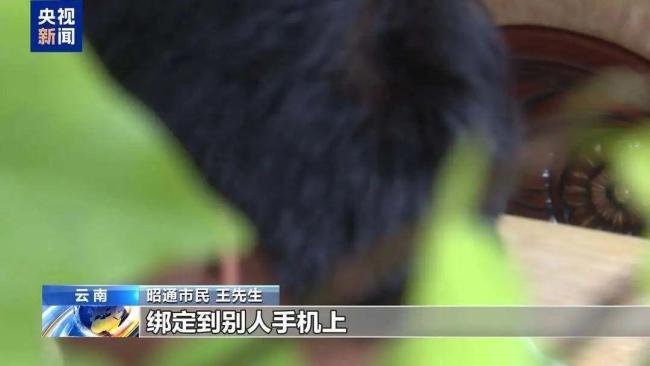 已经有骗子用育儿补贴进行诈骗 新型骗局需警惕