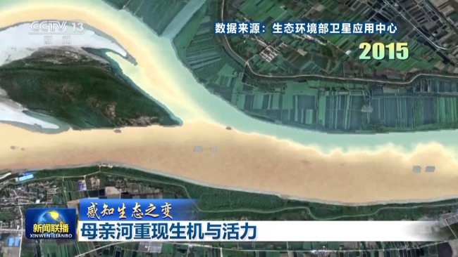 感知生态之变丨母亲河重现生机与活力