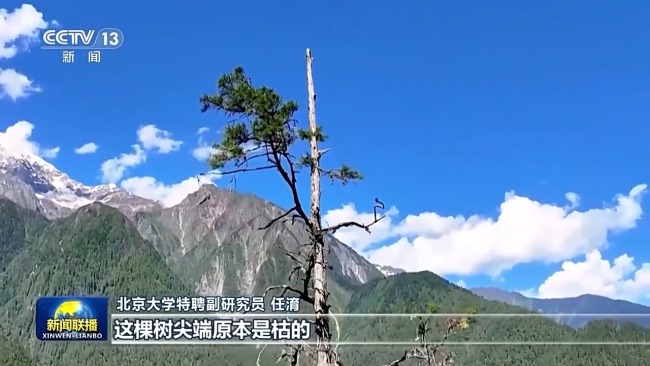 感知生態(tài)之變丨我國(guó)成為全球增綠最多最快的國(guó)家