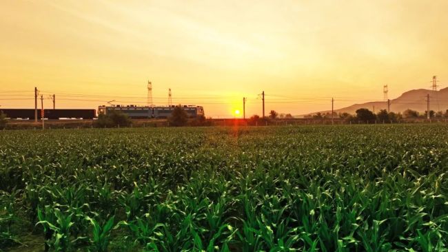 每一張都是壁紙！看火車行駛在草原“畫廊”
