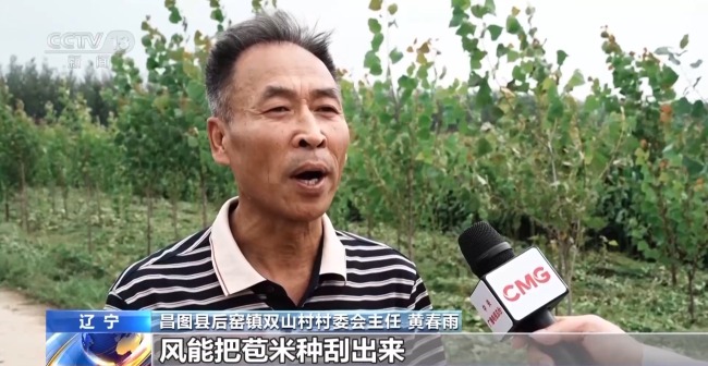 我國(guó)治沙有多牛？西北大漠變身“菜籃子”