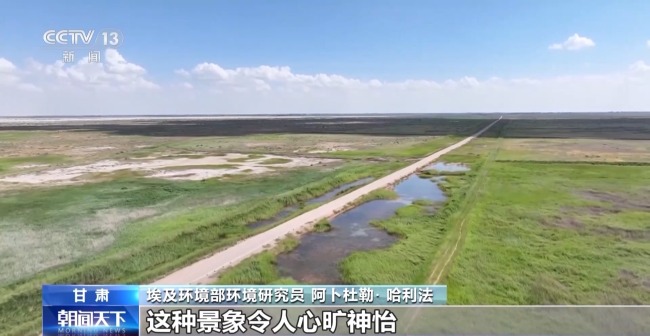 我国治沙有多牛？西北大漠变身“菜篮子”