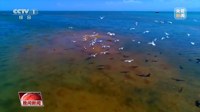 看見美麗中國丨三江源20年蛻變:千湖歸來 “中華水塔”煥新生