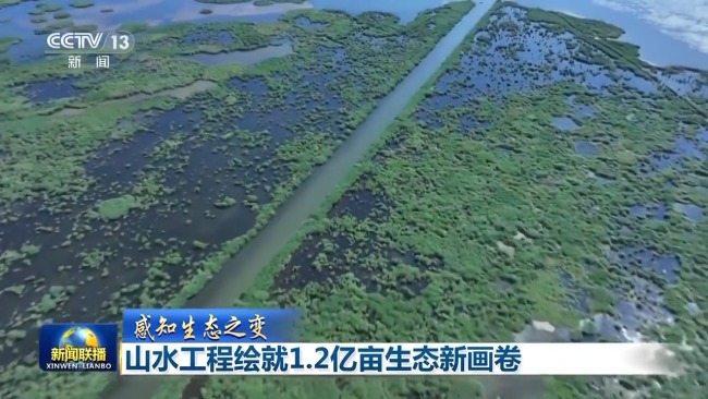 感知生態(tài)之變丨山水工程繪就1.2億畝生態(tài)新畫卷