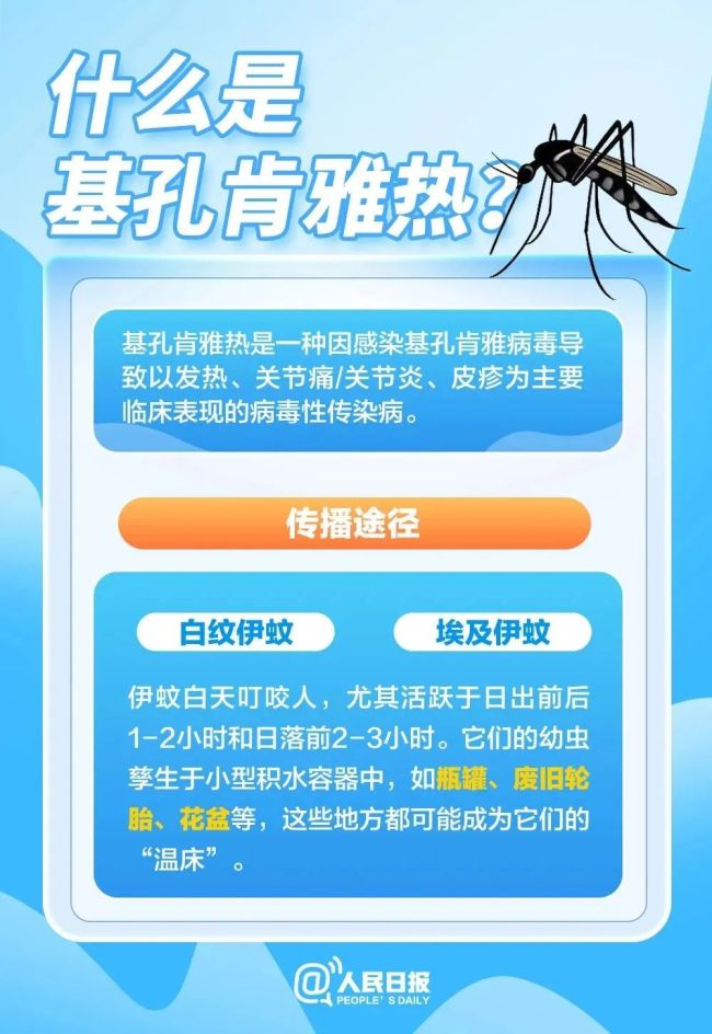 广西右江区发现1例基孔肯雅热病例 患者为轻症已处置