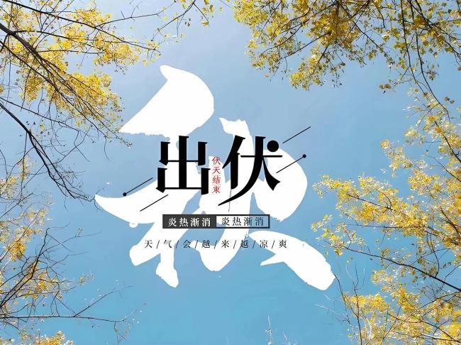 明日出伏 提醒：8件事不能再做了！