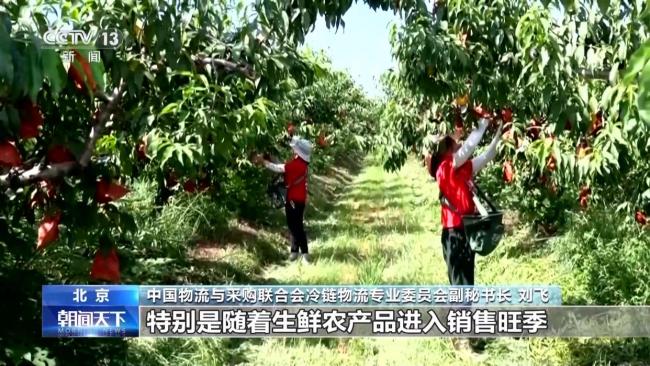 我國冷鏈物流運(yùn)行上半年數(shù)據(jù)出爐