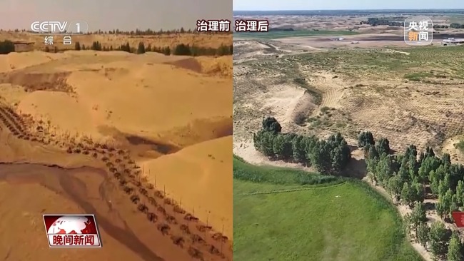 看见美丽中国丨把断流之痛化作生态之美 母亲河生态蜕变向“绿”而行