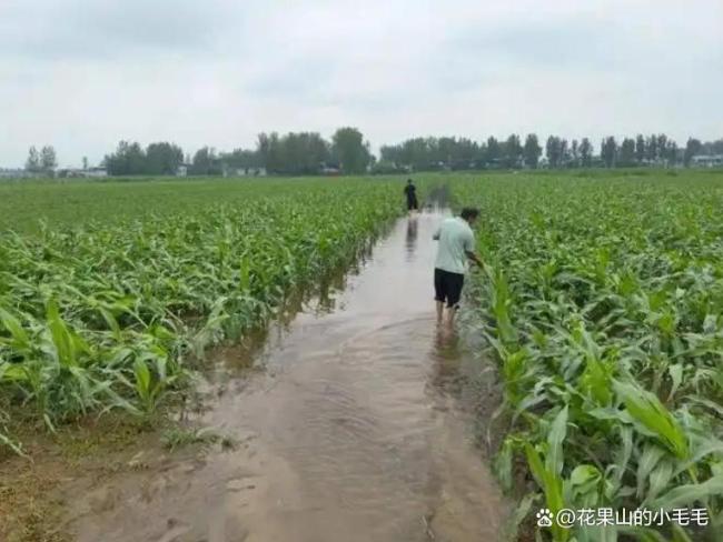 出伏遇庚，再热一旬：今年出伏恰逢庚日 暑热延绵迎丰收