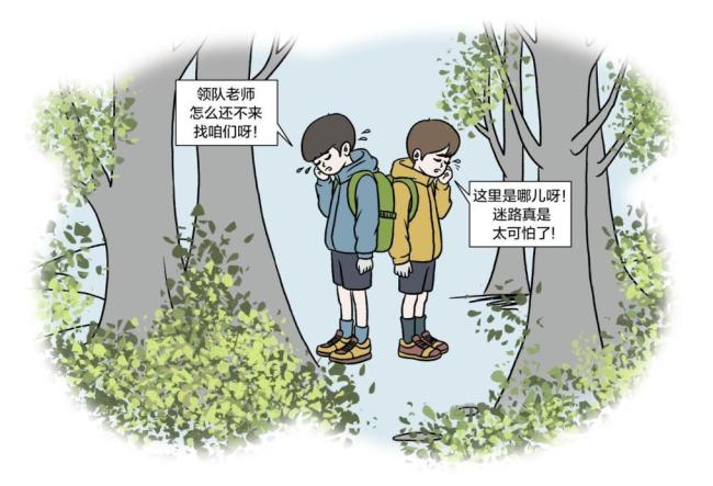 非官方营地监管“真空”如何填补？
