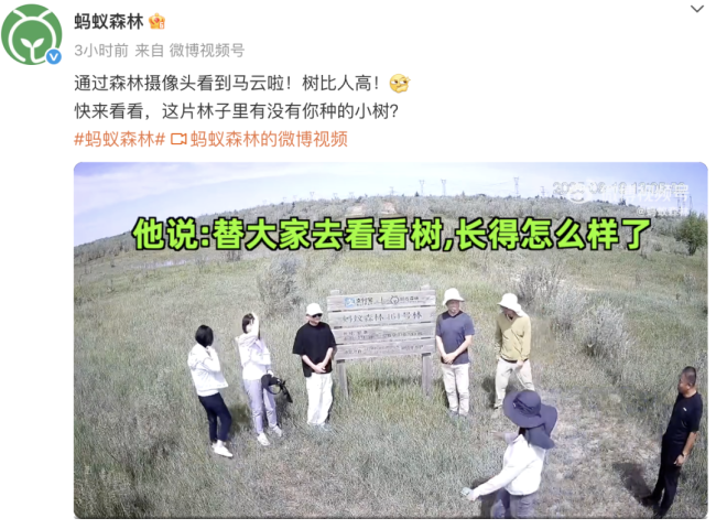 马云时隔六年再现身蚂蚁森林 肯定生态修复意义