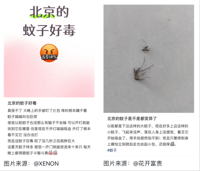 全球