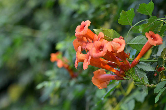 明日闰六月廿九是“晦日”，四大传统要讲究 牢记习俗平安收尾