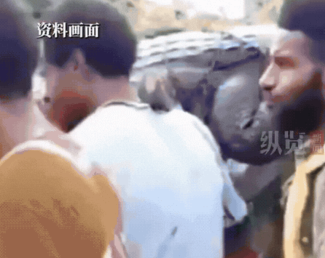印度5岁男孩被鳄鱼拖进排水沟