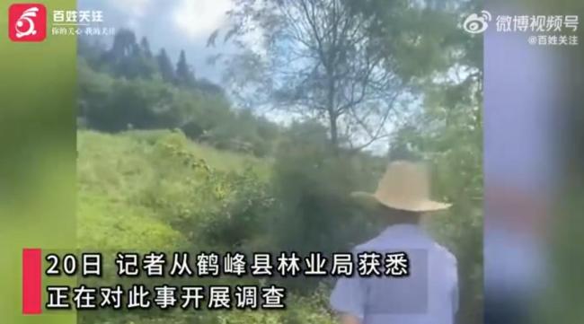村民称干农活时被老虎抓伤 惊险遭遇引关注