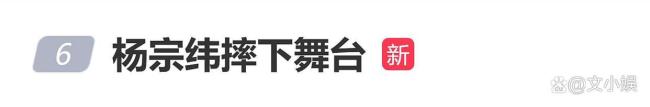 官方通报杨宗纬摔下舞台