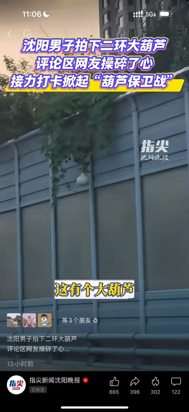 沈阳“高架网红葫芦”被摘