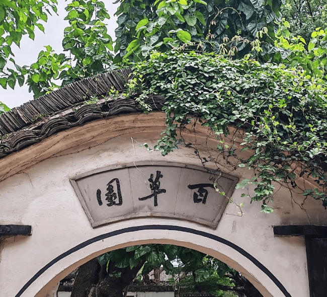 鲁迅会“带坏”青少年吗 墙画引发争议