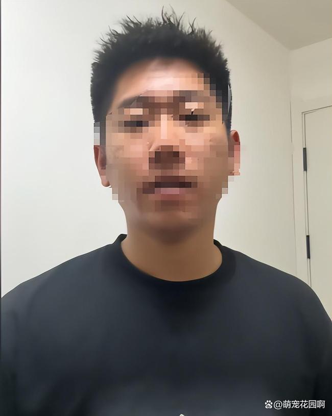 男子沈阳二环违停摘葫芦 自曝偷走引发争议