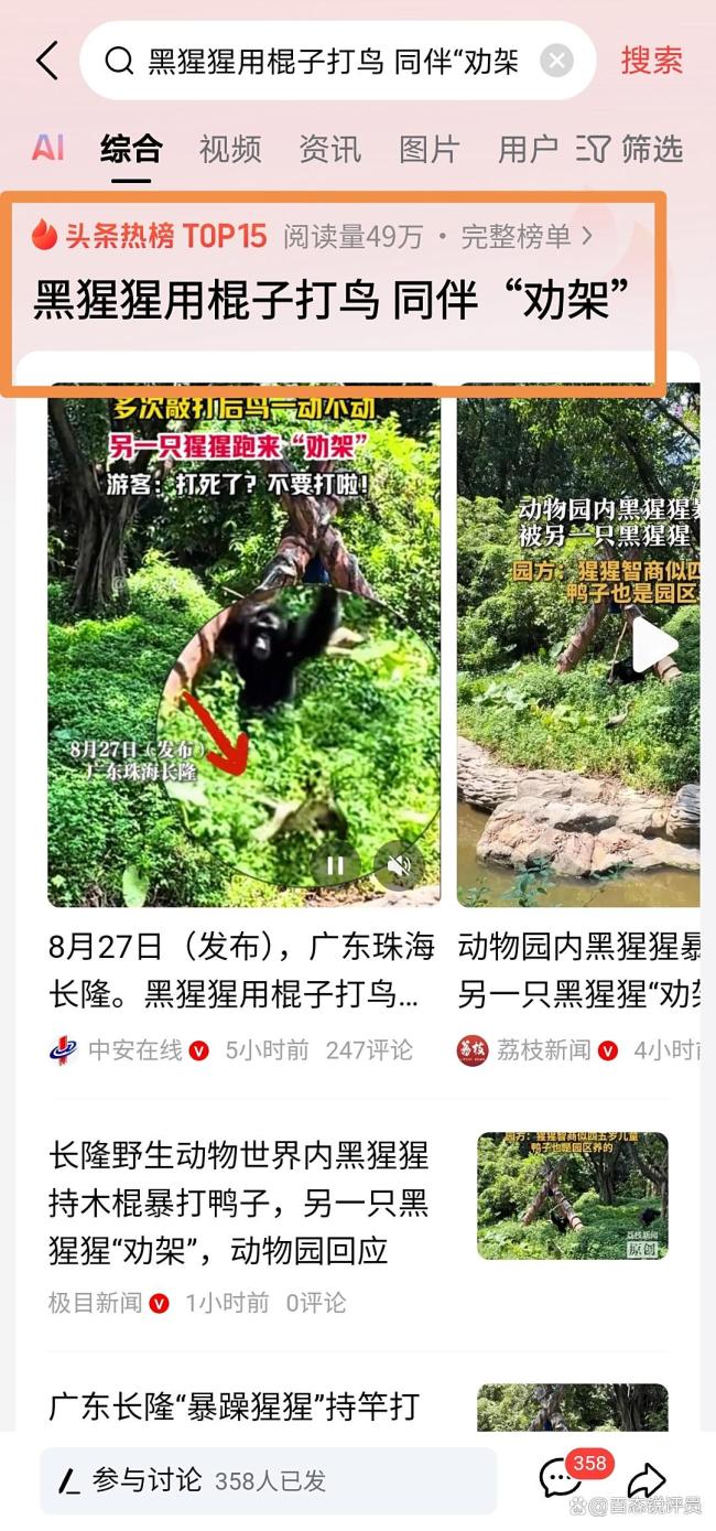 黑猩猩暴打鸭子“同事”被同伴劝架